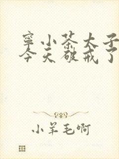 宁小茶太子殿下今天破戒了吗免费阅读