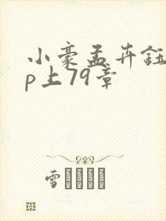 小豪孟卉钰慧三p上79章