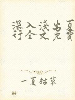 深入浅出夏寒陆行全文免费阅读笔趣阁番外