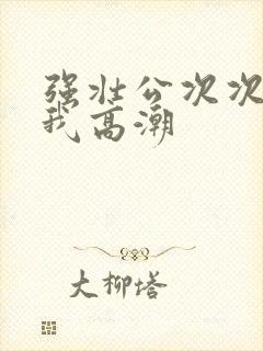 强壮公次次弄得我高潮