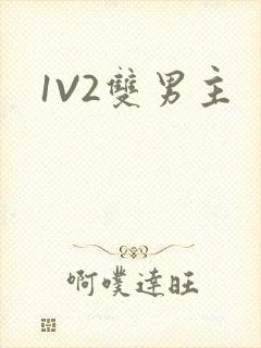 1V2双男主