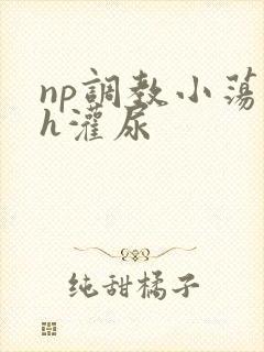 np调教小荡货h灌尿