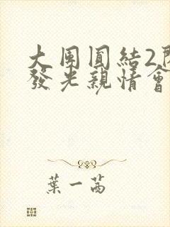 大团圆结2闪闪发光亲情会