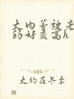 大肉蒂被老头嘬的好爽高h