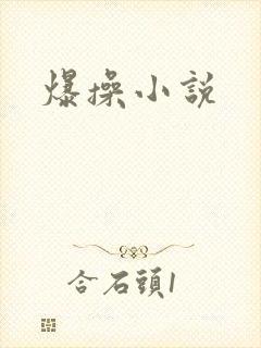 爆操小说