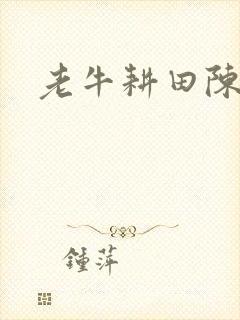 老牛耕田陈雪