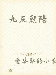 九反朝阳封面