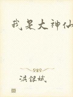 我是大神仙小说