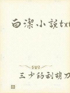 白洁小说txt