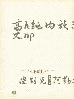 高h纯肉放荡h文np