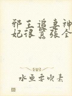 邪王追妻神医狂妃很嚣张全文免费