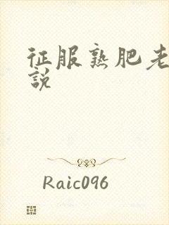 征服熟肥老妇小说