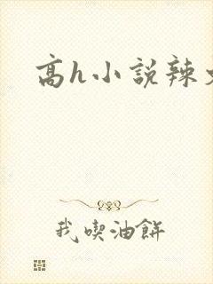 高h小说辣文