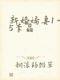 新婚娇妻1一25李晶