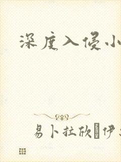 深度入侵小说