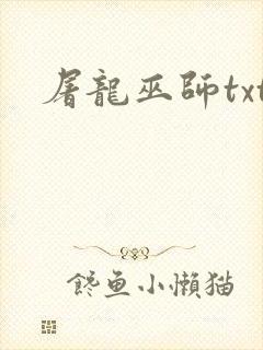 屠龙巫师txt