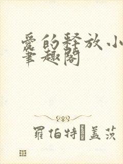 爱的释放小说 笔趣阁