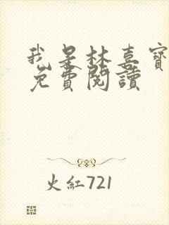 我是林喜宝小说免费阅读