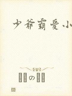 少爷霸爱小丫头