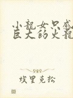 小龙女只感觉那巨大的火龙枪