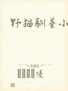 野猫驯养小说