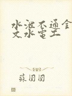 水泄不通金银原文水电工