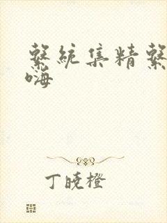 系统集精系统高嗨