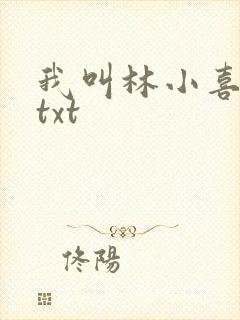 我叫林小喜小说txt