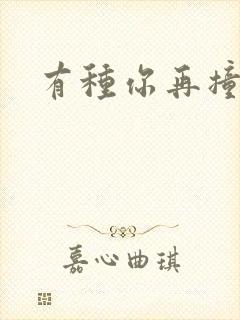 有种你再撞一下