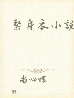 紧身衣小说