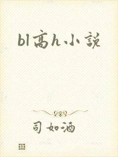 bl高h小说