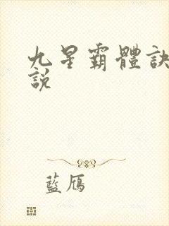 九星霸体诀 小说