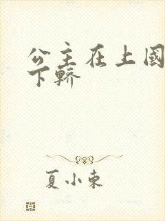 公主在上国师请下轿