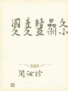 国产精品久久久久久亚洲小说