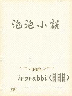 泡泡小说