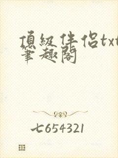 顶级伴侣txt笔趣阁