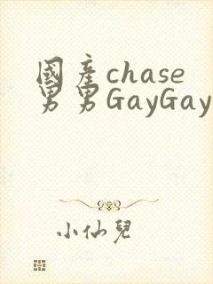 国产chase男男GayGay