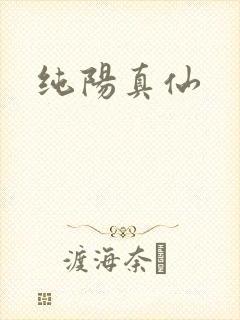 纯阳真仙