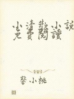 小清欢小说全文免费阅读