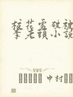 校花处破被灌满李老头小说