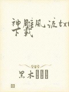 神雕风流txt下载