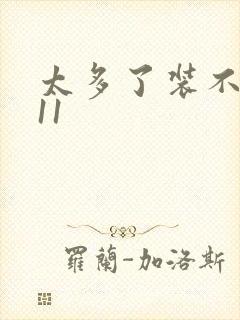 太多了装不下H11