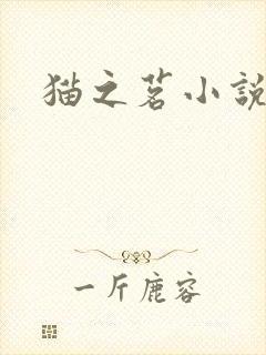 猫之茗小说