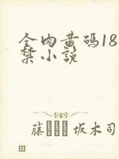 全肉黄码18无禁小说