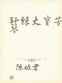 轩辕大宝芳菲雅琴