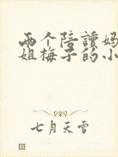 两个陪读妈妈赵姐梅子的小说