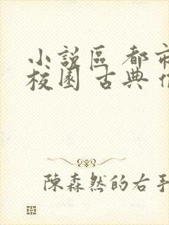 小说区 都市 校园 古典 偷拍