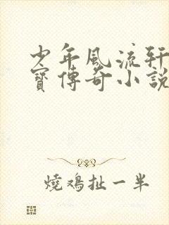 少年风流轩辕大宝传奇小说