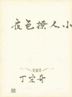 夜色撩人小说
