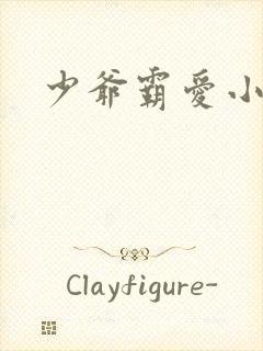 少爷霸爱小丫头